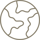 Globe Icon